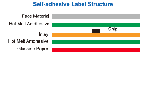 M50-Self-adhesive Label Structure