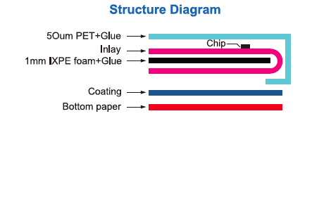 F6025-Structure Diagram