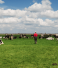 RFID Livestock Tags Ultimate Guide