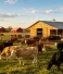 RFID Livestock Management Solutions for Cattle, Sheep, and Pigs